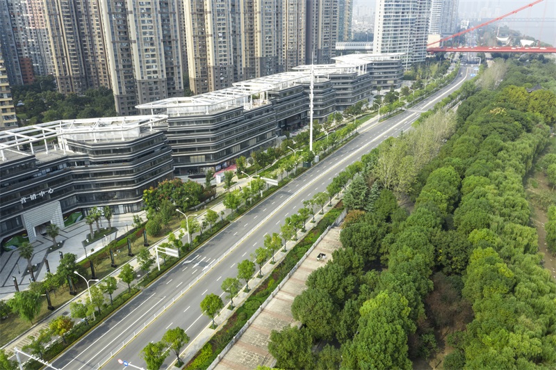 彩虹多多官网-追求健康,你我一起成长