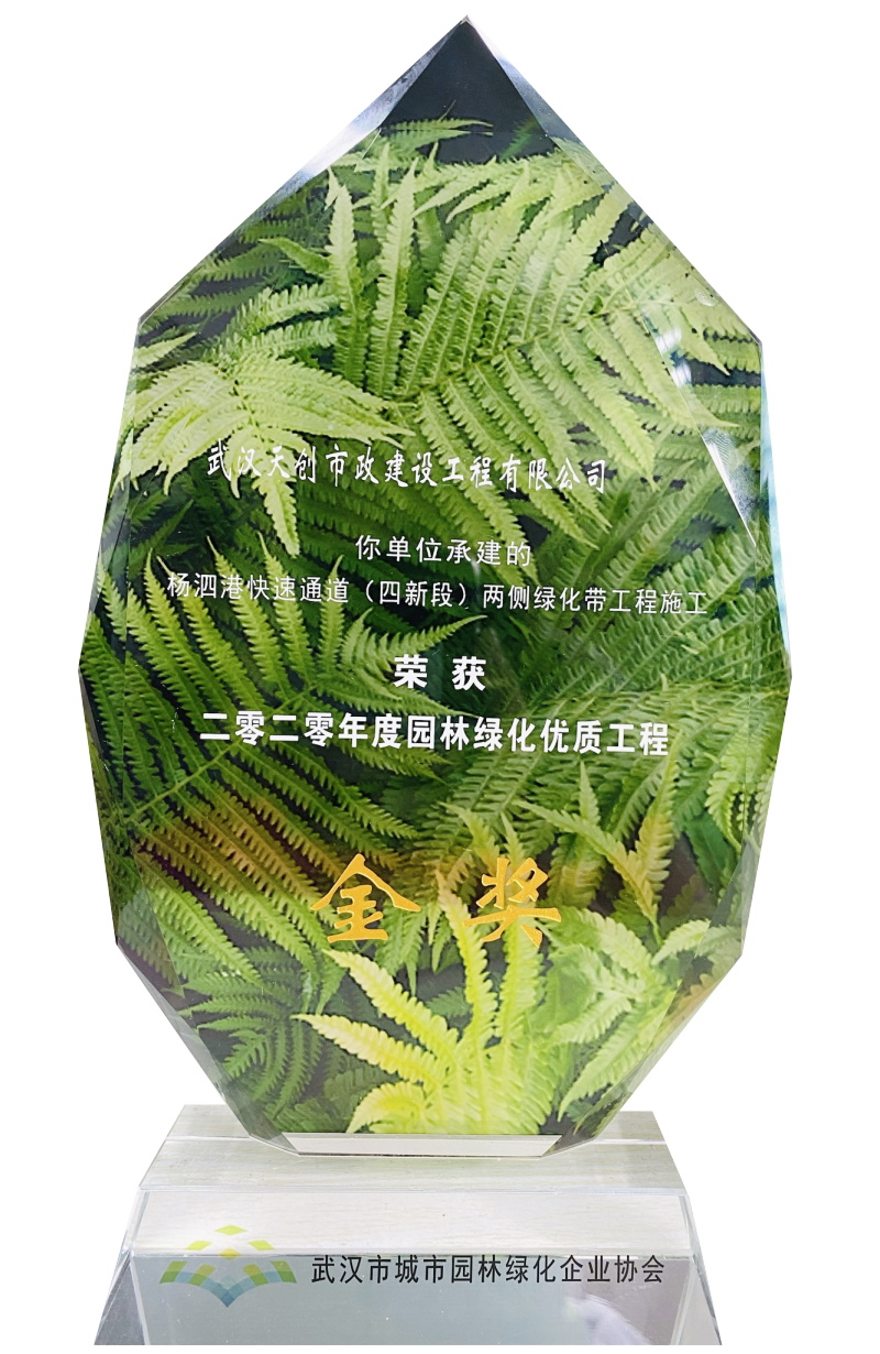 彩虹多多官网-追求健康,你我一起成长