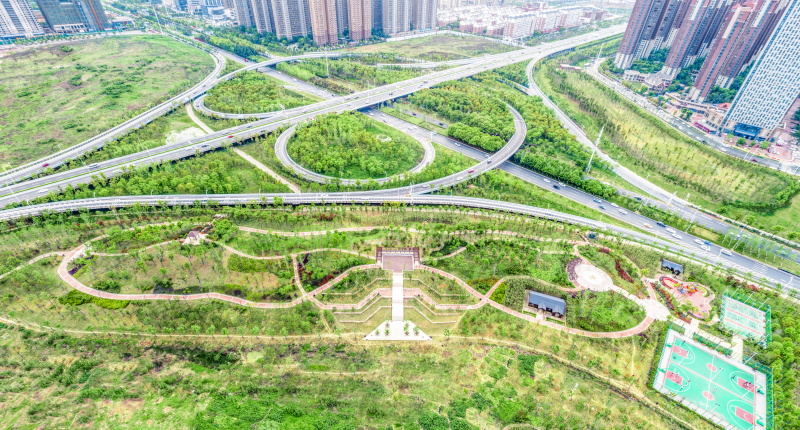 彩虹多多官网-追求健康,你我一起成长