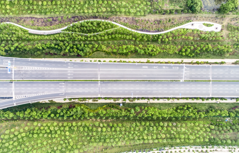 彩虹多多官网-追求健康,你我一起成长