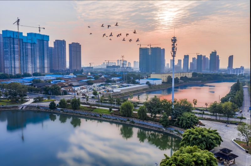 彩虹多多官网-追求健康,你我一起成长
