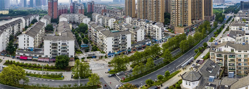 彩虹多多官网-追求健康,你我一起成长