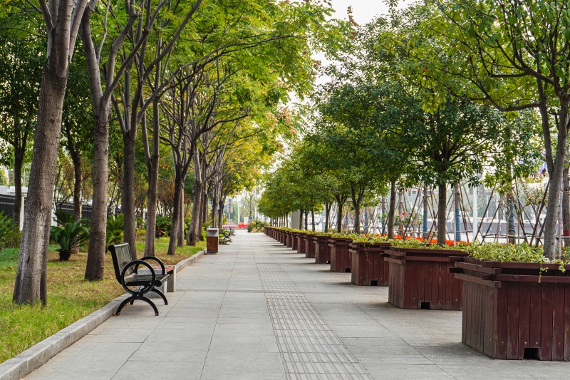 彩虹多多官网-追求健康,你我一起成长