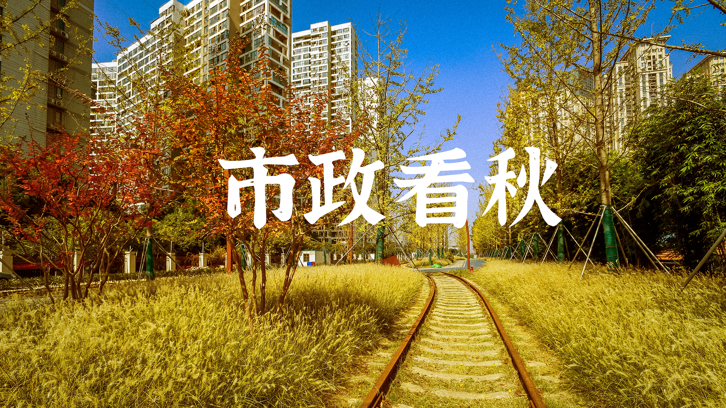 彩虹多多官网-追求健康,你我一起成长