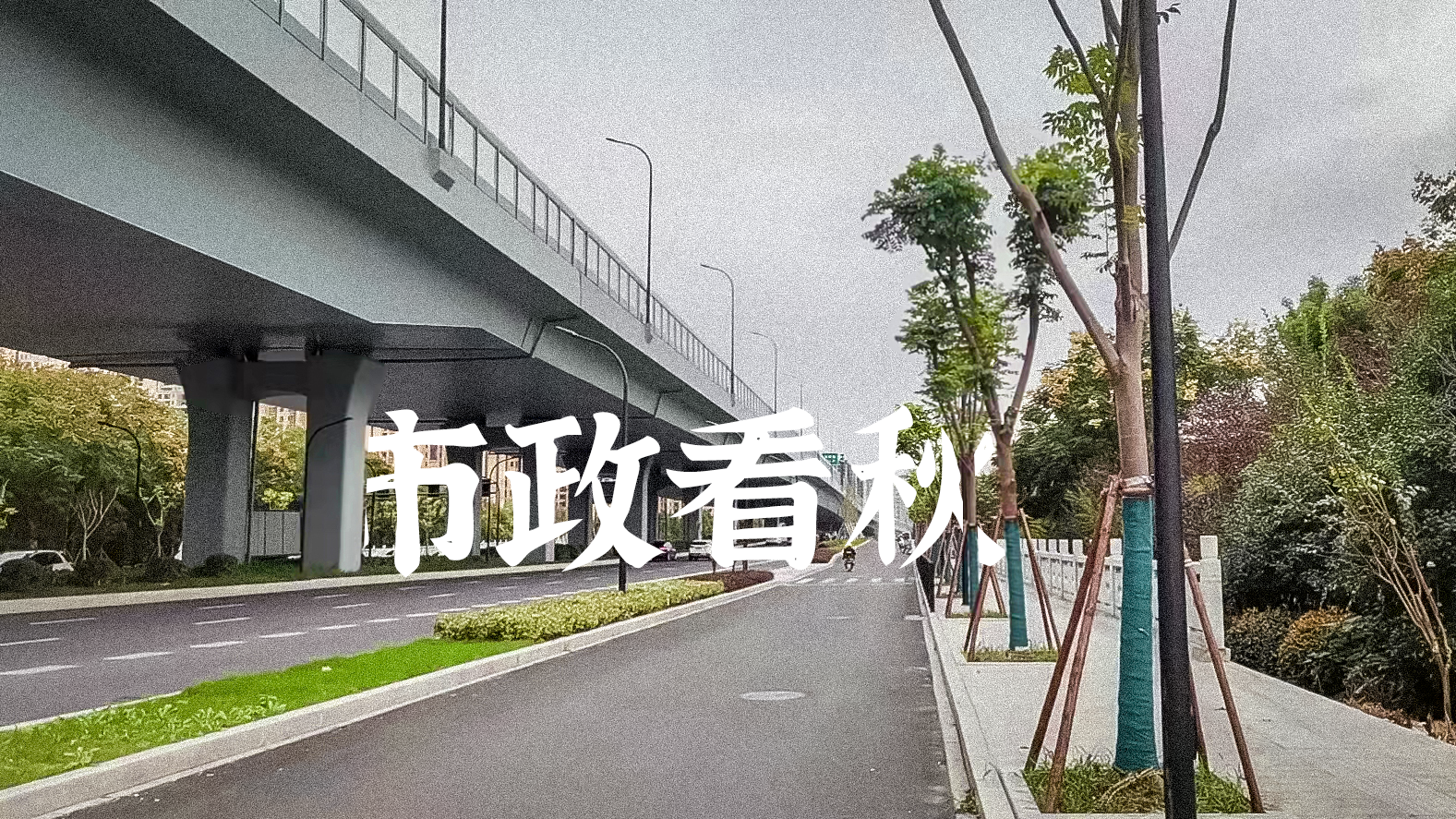 彩虹多多官网-追求健康,你我一起成长