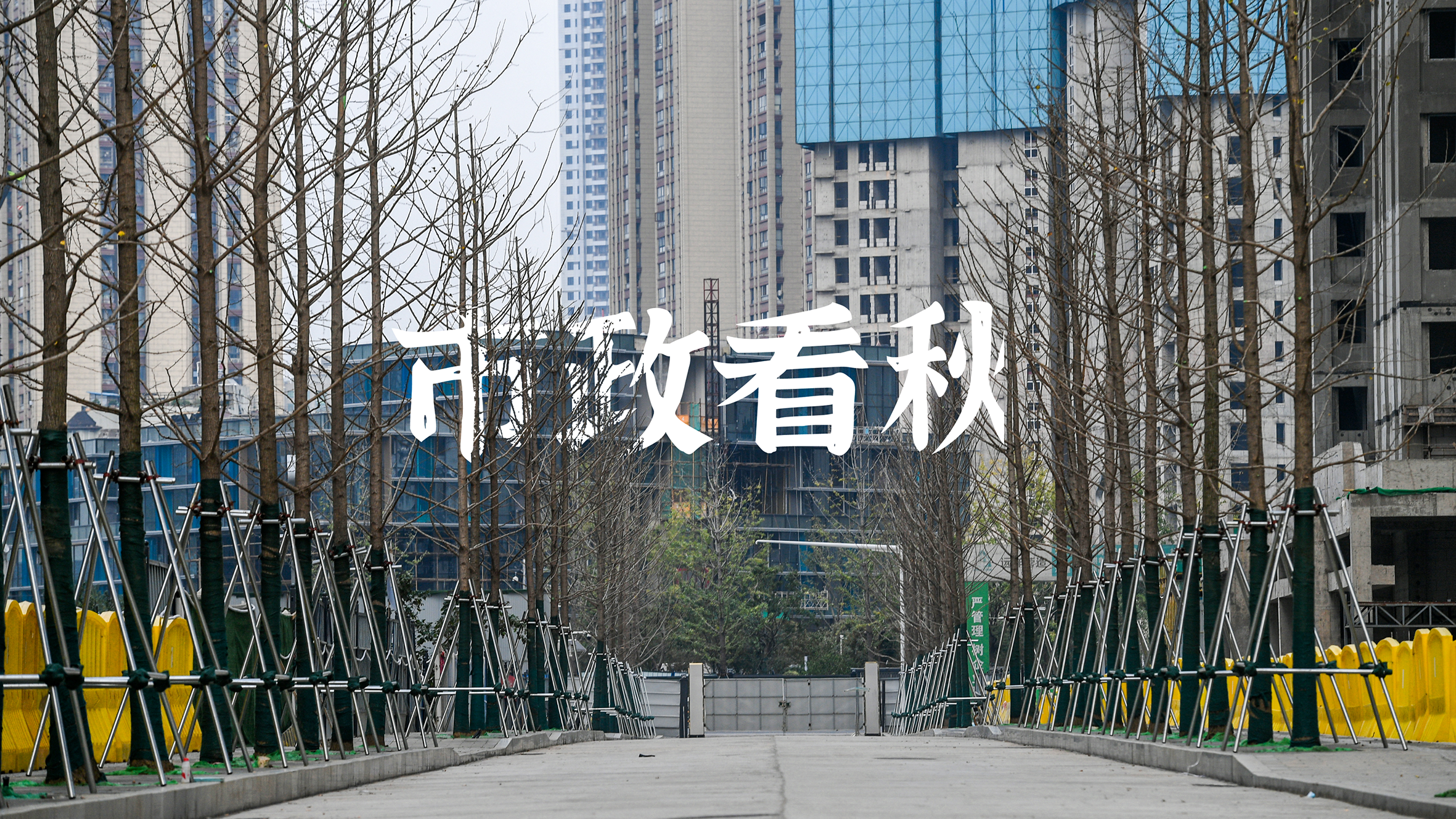 彩虹多多官网-追求健康,你我一起成长