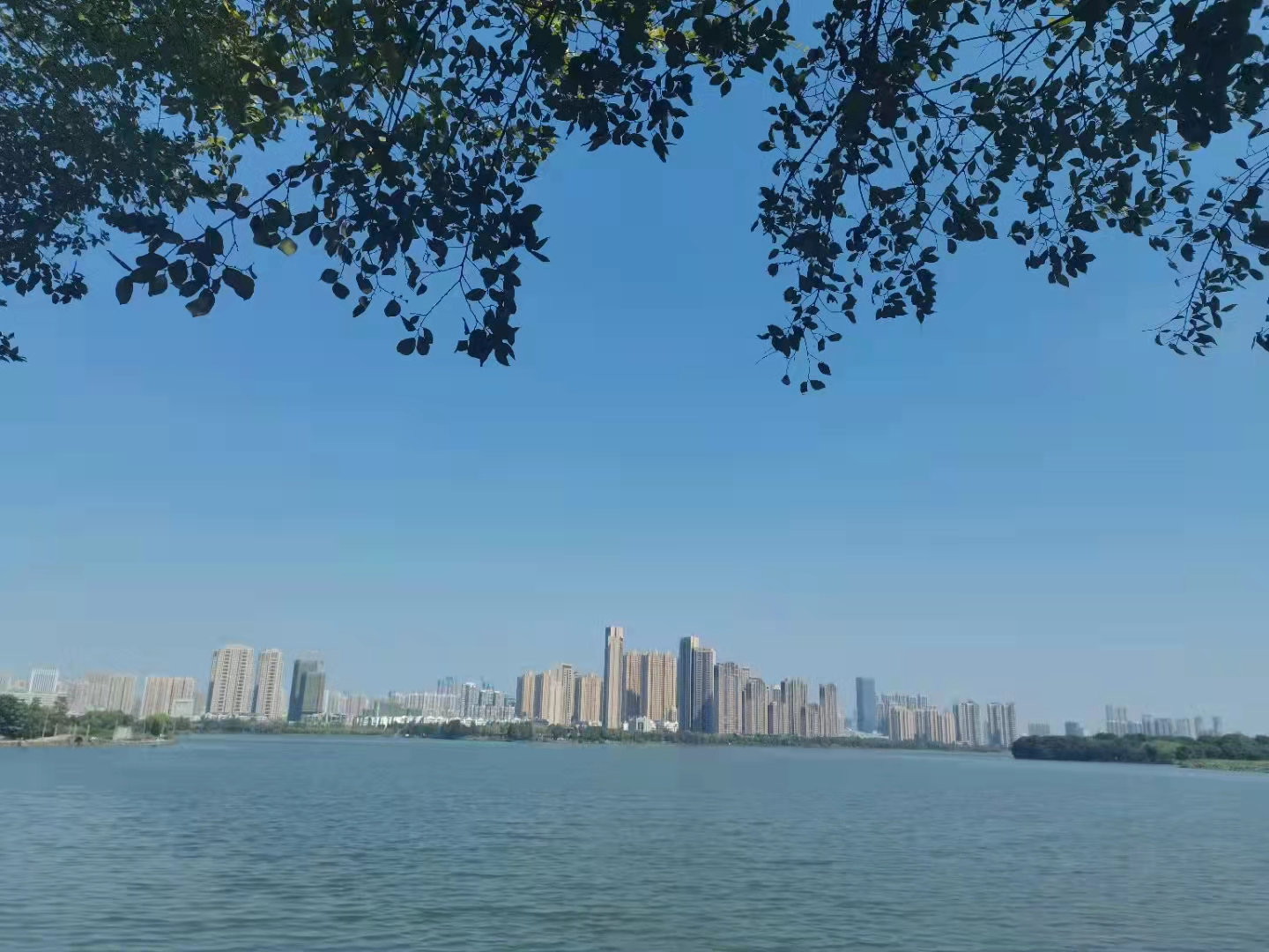 彩虹多多官网-追求健康,你我一起成长