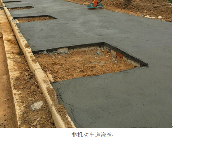 彩虹多多官网-追求健康,你我一起成长
