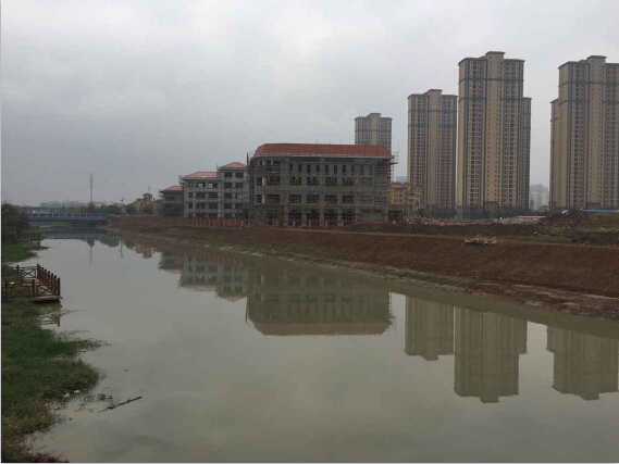 彩虹多多官网-追求健康,你我一起成长