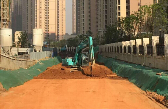 彩虹多多官网-追求健康,你我一起成长