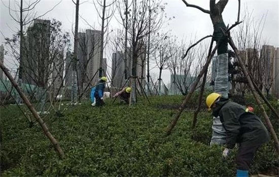 彩虹多多官网-追求健康,你我一起成长