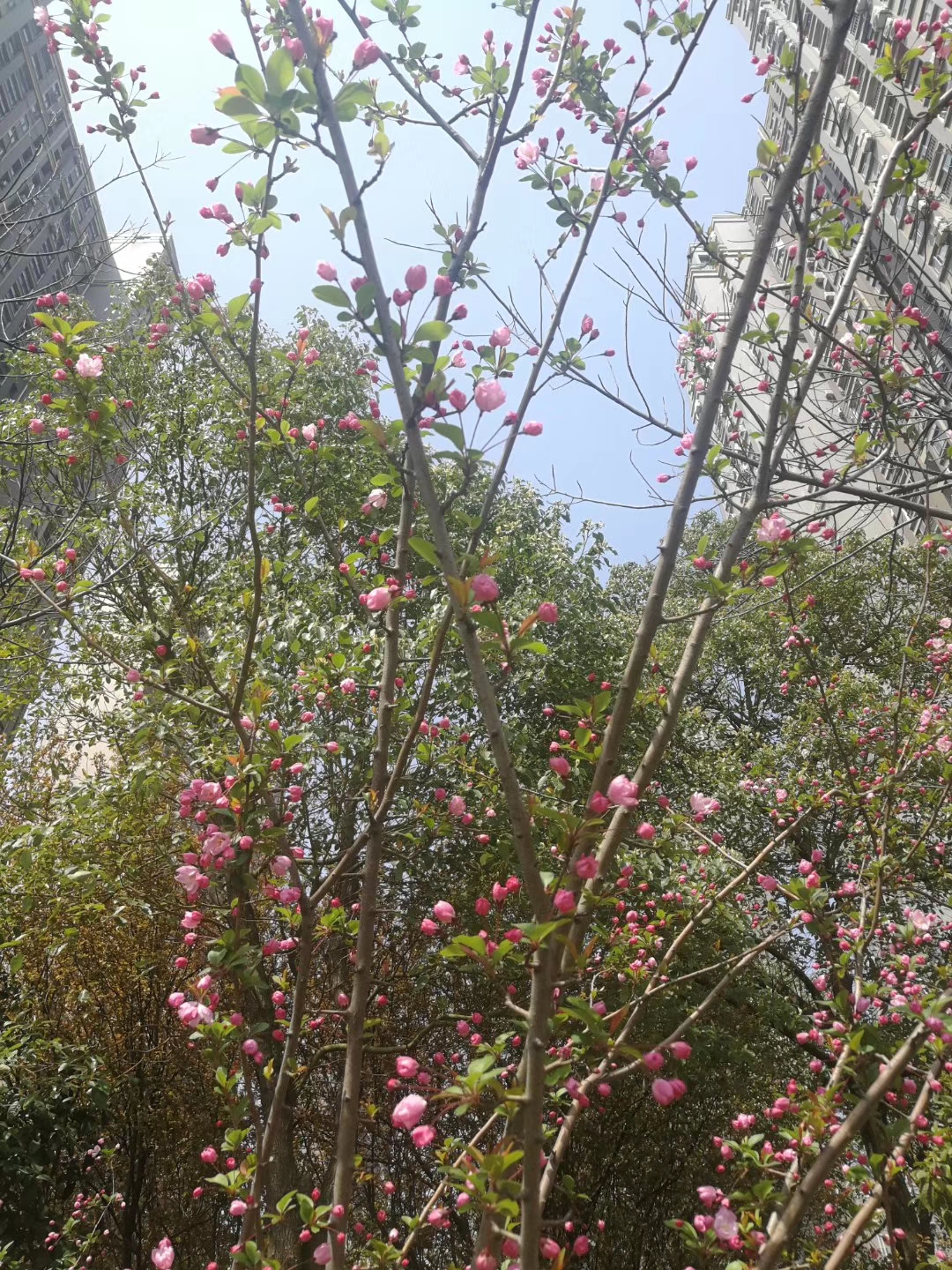 彩虹多多官网-追求健康,你我一起成长