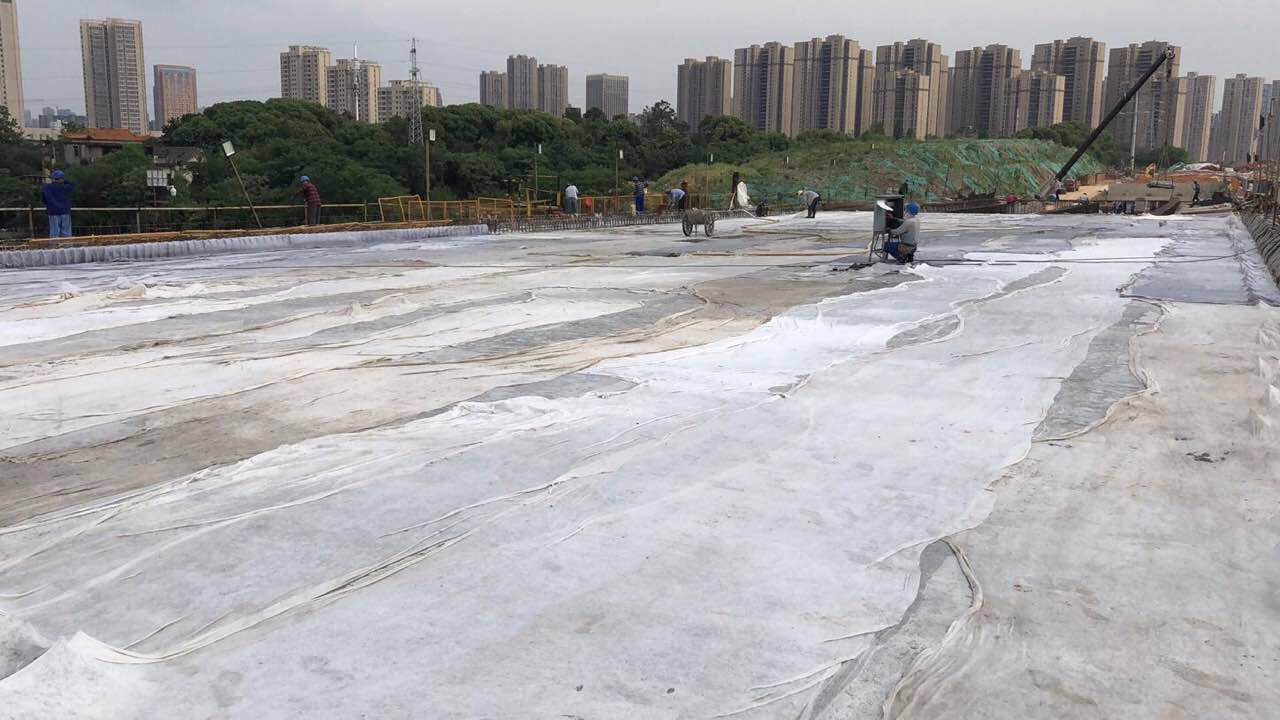 彩虹多多官网-追求健康,你我一起成长