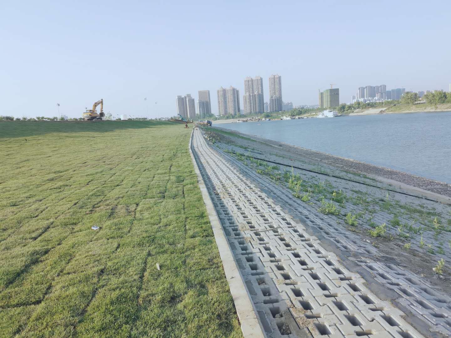 彩虹多多官网-追求健康,你我一起成长