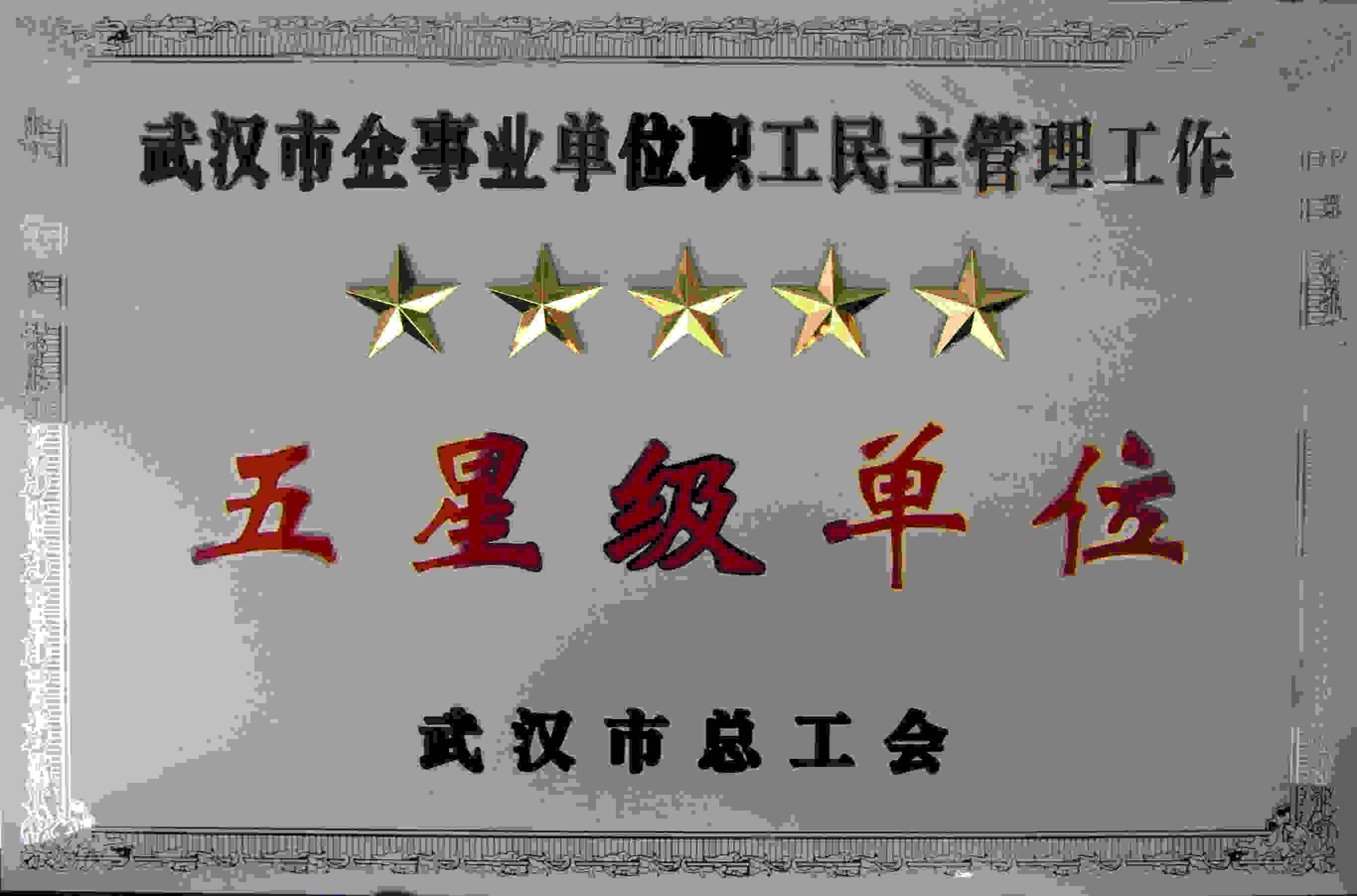 彩虹多多官网-追求健康,你我一起成长